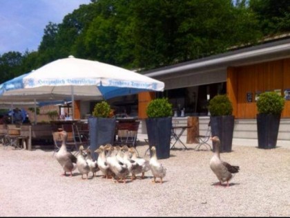 照片: Biergarten Schutterhof